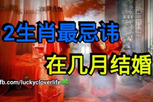 12生肖最忌諱在幾月結婚？