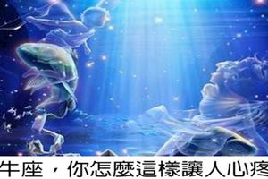 金牛座，你怎麼這樣讓人心疼？