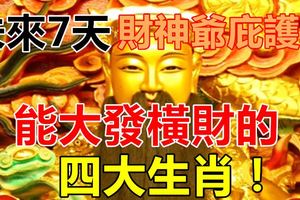未來7天在財神爺庇護下能大發橫財的四大生肖！轉走最靈！