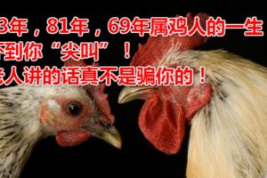 93年，81年，69年屬雞人的一生，嚇到你「尖叫」！老人講的話真不是騙你的！