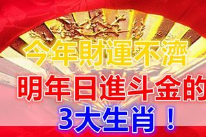 今年財運不濟，明年日進鬥金的3大生肖！
