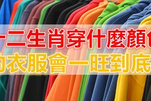 十二生肖穿什麼顏色的衣服會一旺到底？