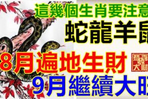 這幾個生肖要注意！龍蛇羊鼠，8月遍地生財，9月繼續大旺。