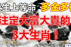 多金多福，天生上等命，註定大富大貴的3大生肖！（88秒轉走好運跟隨你！）