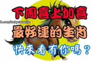 下周喜上加喜最好運的生肖，快來看有你嗎？