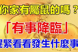 你家有屬鼠的嗎？將「有事降臨」，趕緊看看！
