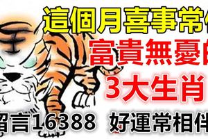 這個月喜事常伴，富貴無憂的3大生肖！【留言16388好運常相伴！】