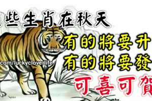 這些生肖在秋天有的將要陞官，有的將要發財，可喜可賀