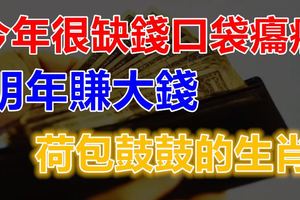 今年很缺錢口袋癟癟，明年賺大錢，荷包鼓鼓的生肖