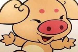 出生不好卻可以用自己的努力換來榮華富貴的3大生肖