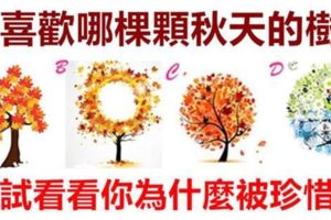 準到嚇死人！你喜歡哪棵顆秋天的樹？測試看看你為什麼被珍惜！