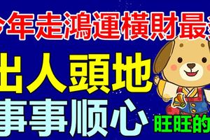 今年走鴻運橫財最多，出人頭地的生肖