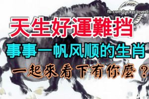 天生好運難擋，事事一帆風順的生肖，一起來看下有你麼？