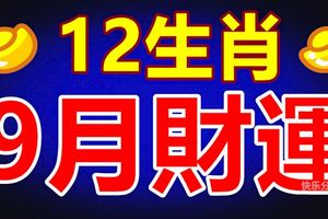 12生肖9月財運