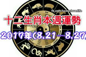 十二生肖本週運勢2017年(8.21—8.27)