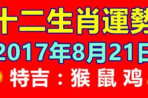 8月21日十二生肖運勢早知道