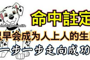 命中注定遲早會成為人上人的生肖，一步一步走向成功