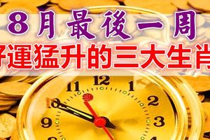 8月最後一周，好運猛升的三大生肖！