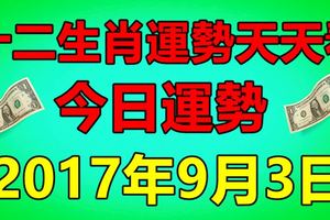 十二生肖運勢天天看，今日運勢：9月3日