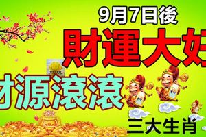 9月7日後財運大好，財源滾滾的三大生肖！