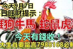 今天9月7日：每日旺財提示：雞狗牛馬，蛇鼠虎羊。今天有錢收！八大生肖要留言7988168必轉！
