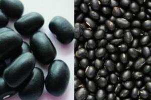 黑豆的功效與作用及食用方法分別有哪些