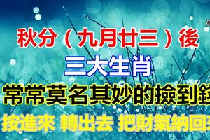 秋分（公曆九月廿三）後，常常莫名其妙撿到錢的三大生肖！按進來轉出去把財氣接回來