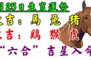 9月25日生肖運勢_馬、兔、豬大吉！雞、猴、虎次吉！