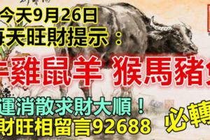 今天9月26日，每天旺財提示：牛雞鼠羊，猴馬豬兔。黴運消散求財大順！旺財旺相留言92688必轉！