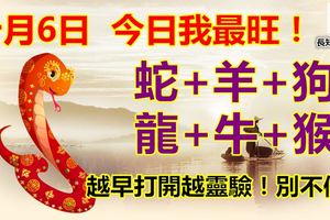 十月6日，今日我最旺！蛇+羊+狗+龍+牛+猴！越早打開越靈驗！別不信！