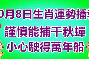 10月8日生肖運勢播報｜謹慎能捕千秋蟬，小心駛得萬年船