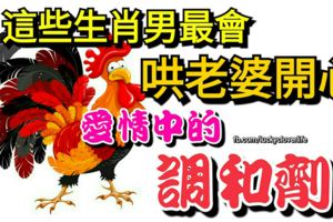 這些生肖男最會哄老婆開心，是愛情中的調和劑