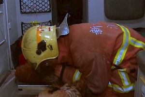 寵物店失火50隻貴賓犬陷火海，消防小隊長下令「一隻都不能死」人工呼吸救回18隻小狗！
