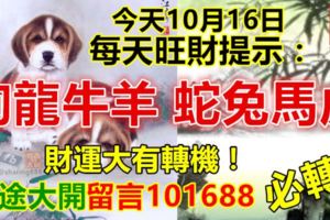 今天10月16日，每天旺財提示：狗龍牛羊，蛇兔馬虎。財運大有轉機！錢途大開留言101688必轉！