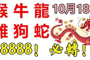 10月18日，生肖猴、牛、龍、雞、狗、蛇！888888！