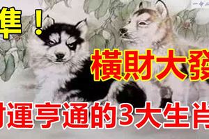 橫財大發，財運亨通的3大生肖！
