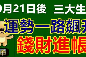 10月21日過後運勢一路飆升，錢財進帳的三大生肖！
