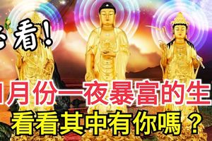 11月份「一夜暴富」的3個生肖，其中有你嗎？