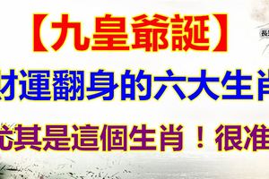 【九皇爺誕】，財運翻身的六大生肖，尤其是這個生肖！很准！