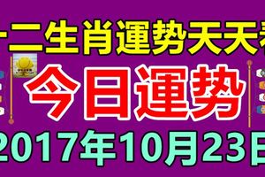 十二生肖運勢天天看，今日運勢：10月23日