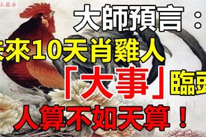 大師預言：未來10天肖雞人有「大事」臨頭，人算不如天算！