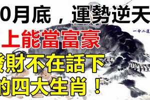 10月底，運勢逆天，馬上能當富豪，橫財不斷，發財不在話下4生肖！