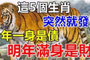這5個生肖，今年一身是債，明年滿身是財，突然就發財！