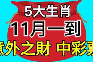 11月一到，這5大生肖不經意就中個彩票，意外之財數到樂開花！