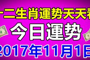 十二生肖運勢天天看，今日運勢：11月1日