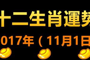 2017年（11月1日）十二生肖運勢