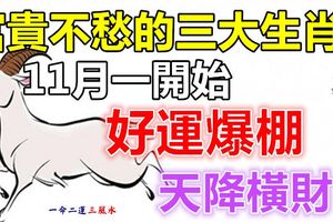 11月一開始，有望一夜暴富，好運爆棚，天降橫財，富貴不愁三大生肖！