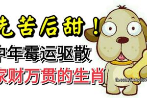 先苦後甜！中年黴運驅散，家財萬貫的生肖，是你嗎？