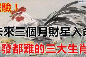 未來三個月財星入命，不發都難的三大生肖！