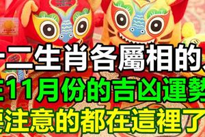 十二生肖各屬相的人在11月份的吉凶運勢，要注意的都在這裡了